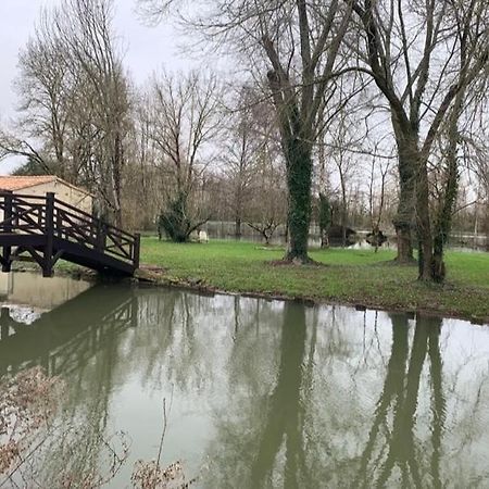 Maison Terrasse Proche Centre Ville Et Ile De Re ラ・ロシェル エクステリア 写真